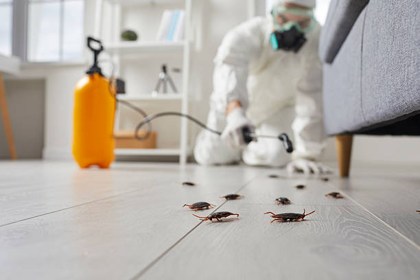 Commercial Kitchen Cockroach Control in Sea Bright